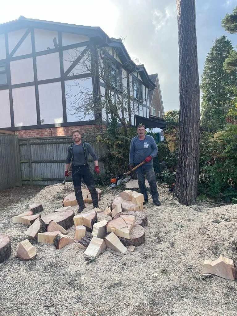 employees next to stump