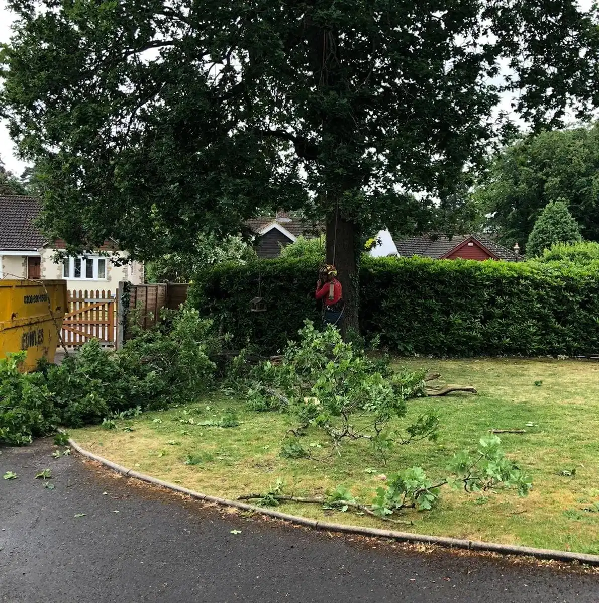 tree in a garden with a man standing in the middle of it
