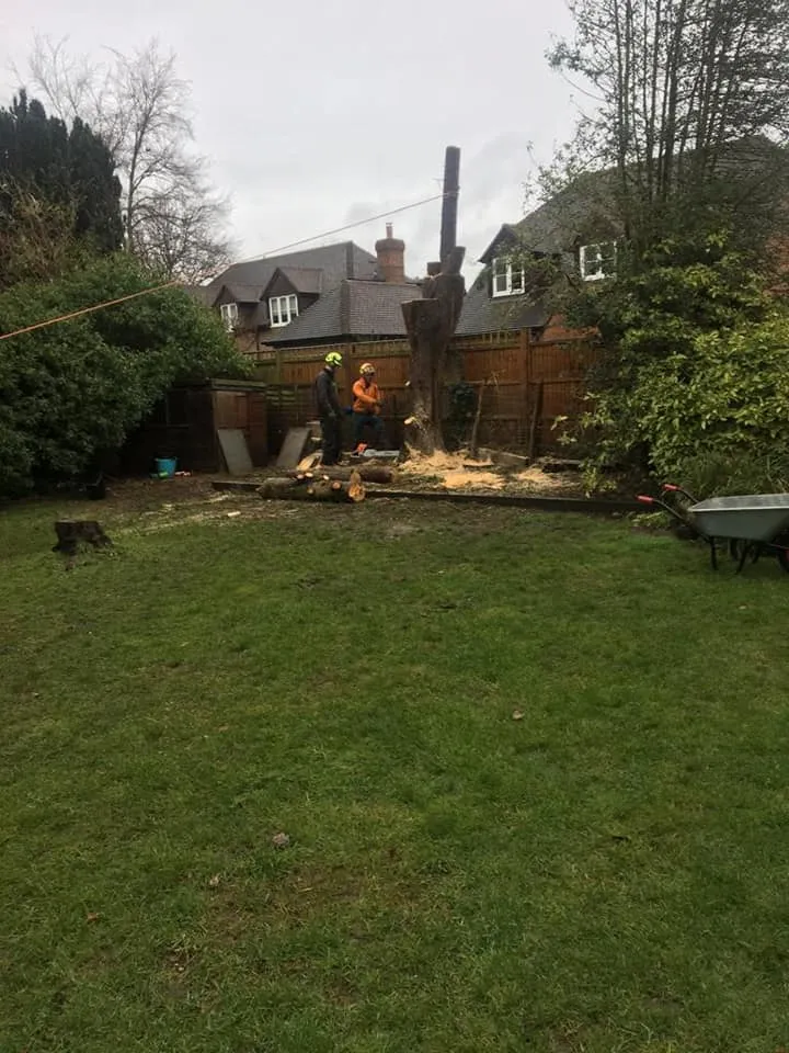 there is a fire in the backy garden with a man standing next to it