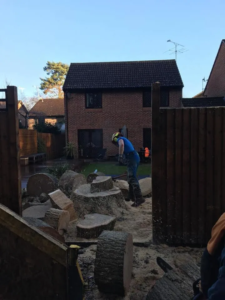 man in blue shirt and orange vest working on a pile of logs