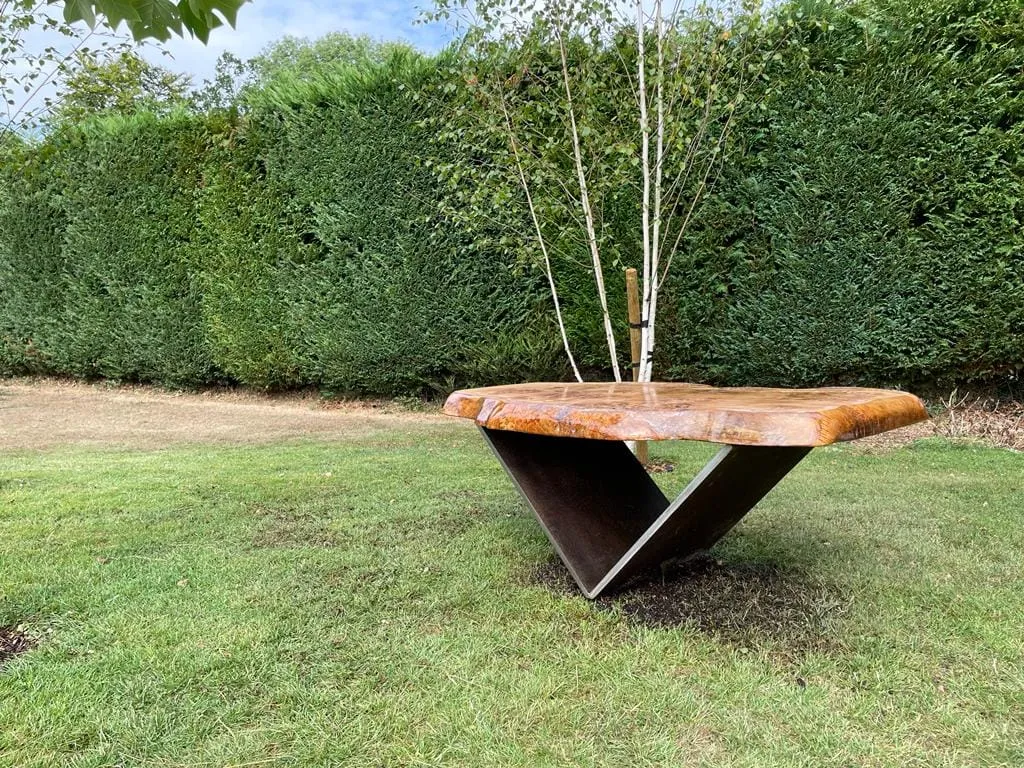 a close up of a bench in a grassy area with trees