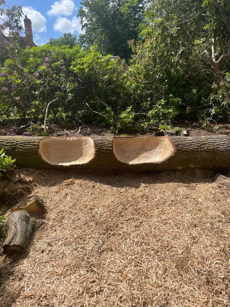 there are two wooden benches made out of logs in the woods