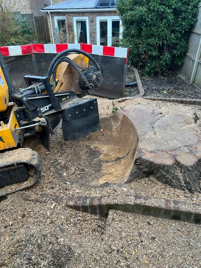 there is a large tree stump being removed from a yard