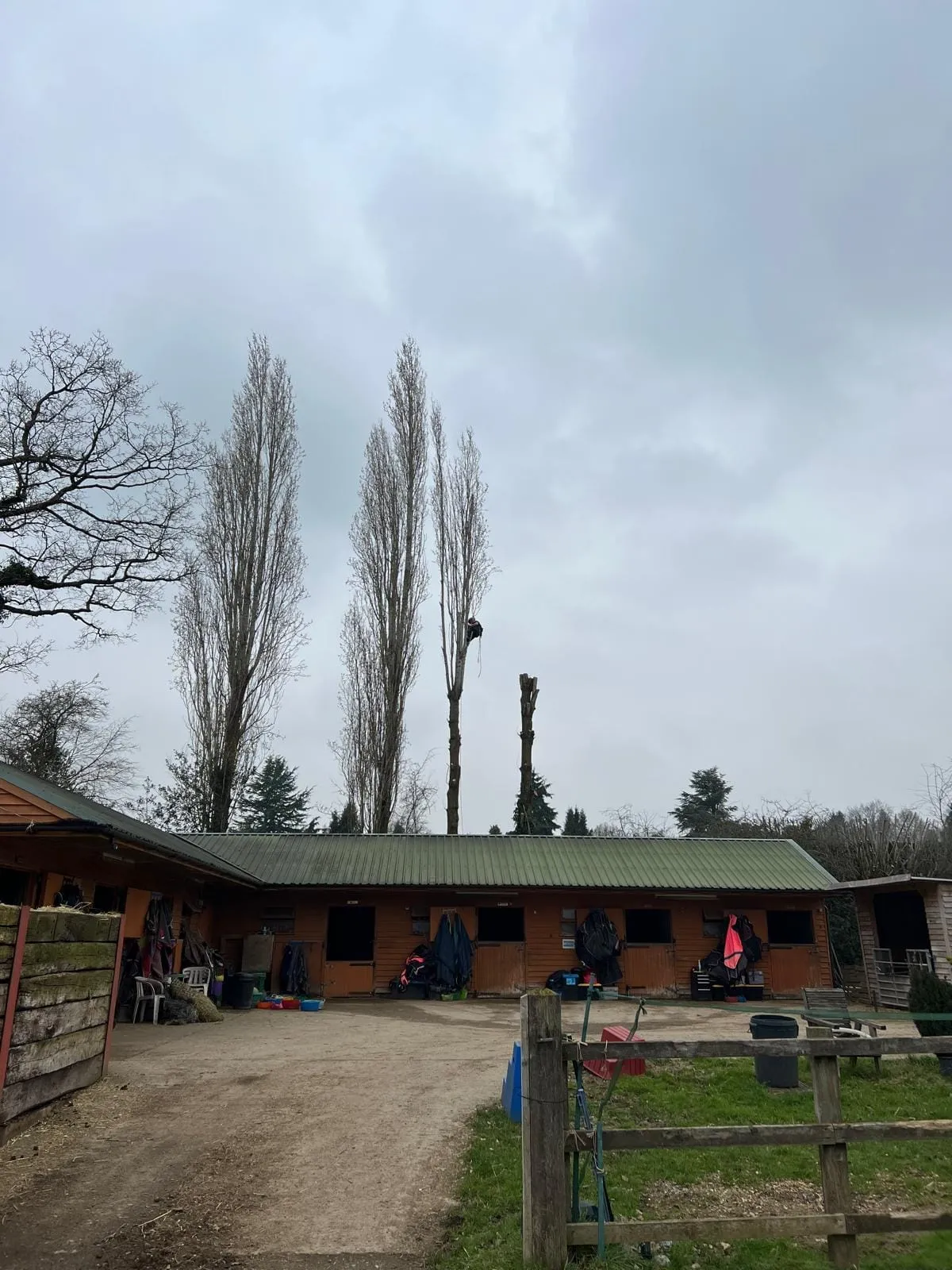 a man standing on a pole