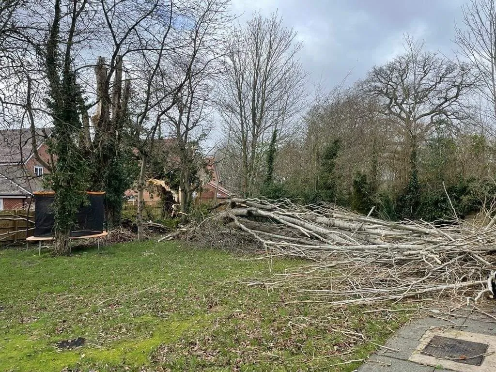 a large pile of branches is in the garden of a house
