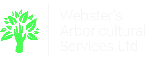 Websters Arboricultural Services Ltd